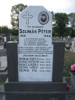 Kurcz Ádám István: Leölt kárókatonák