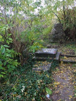 Temető helyett park